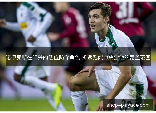 诺伊豪斯在门兴的低位防守角色 折返跑能力决定他的覆盖范围